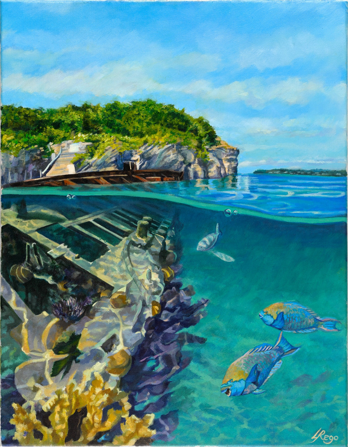 Above and Below the Blue I