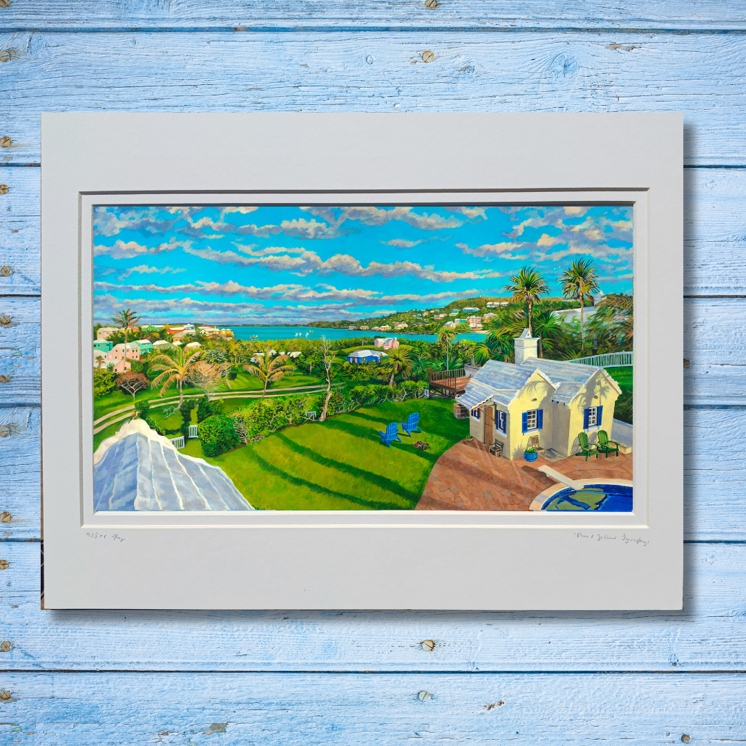 Blue & Yellow Harmony